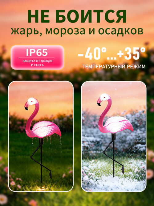 7cca739205434e6b9a660378038306df.jpg