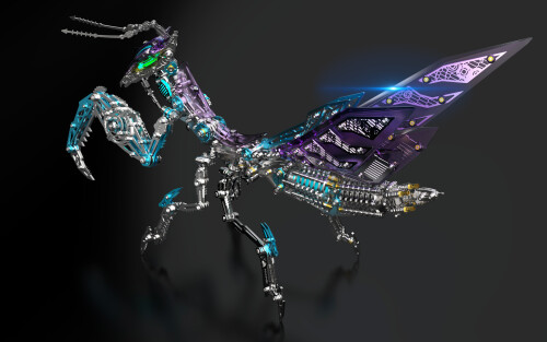 3d70a5743ebe65aa6aa5e91bf072cd17.jpg