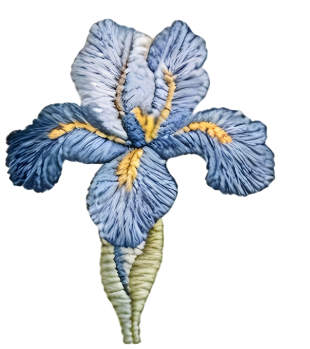 034ac11c5b8bbbe96a6f5cc6589e5d82.png