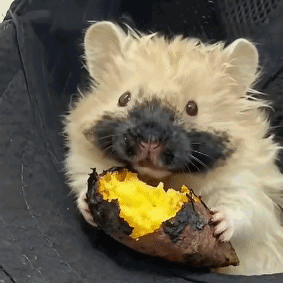 f45cd80356a1e329073437f95ae2d64b.gif
