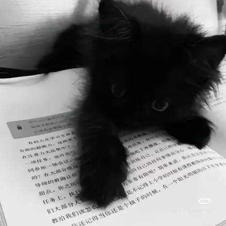 13bda5b33f43a4f0748e9dab1b21cfba.jpg