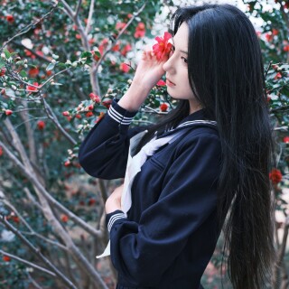11ba12f9a0f50e65b9f2a267d2ade4a0