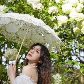 994f958a717d714d5d69234ae99b0311
