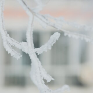 5c2cd4a35e033773c5b318fe25f9ab0b