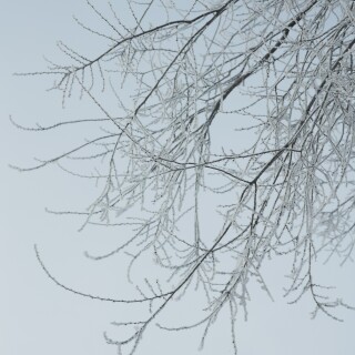 e715088c4ac574ce3e53ff50cbb130c6