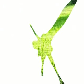 f6b99d488626a68fa84104bd1b2ea3e2