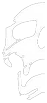 c1b471873f101afbff6443272e077bd5.png