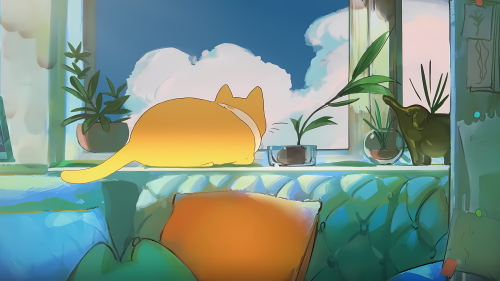 7680x3256(1)