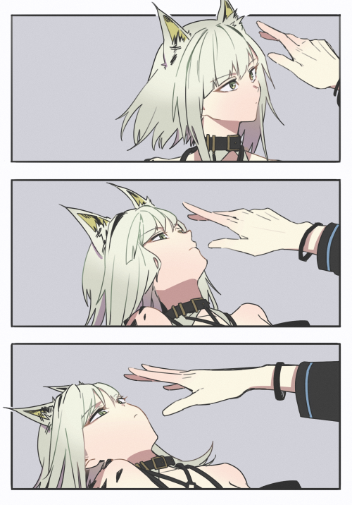 8f907a85113d994be276fd7202e67df5.png