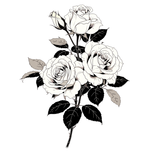 04f196f60c58face928223b24cfc1414.png