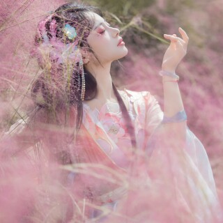 7160d6ed309ee73344d72dd7b0c00325