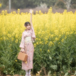 723e41005dd72751663db289efd7f3d8