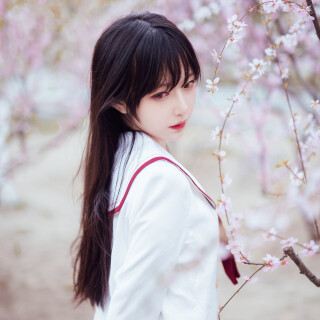 c80ae8b7df599becd088153a16b90956