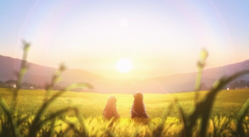 fe8d1476682d3df2b150ab5c44c1315b.jpg