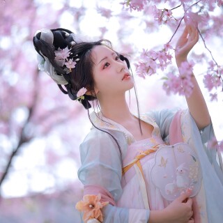 12bf04f38a03192e20d84db49d57e847