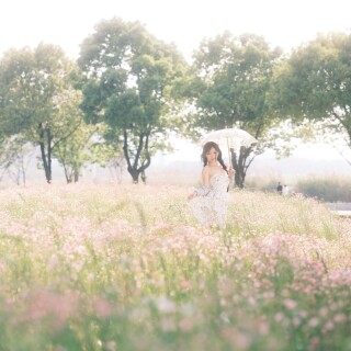fe374eea116d69a2c371eae26f9624b2
