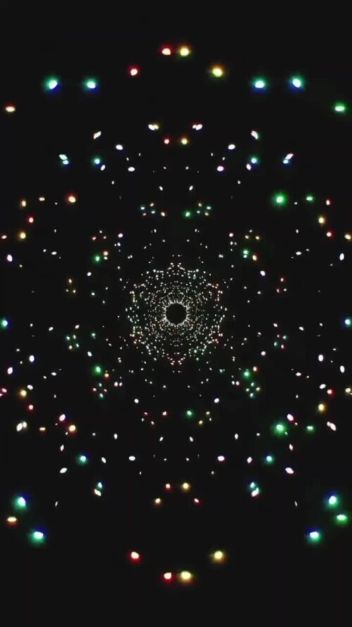 1000838556