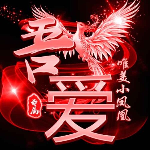 图片[1]-一款冰火凤凰PSD源码-吾爱源码站