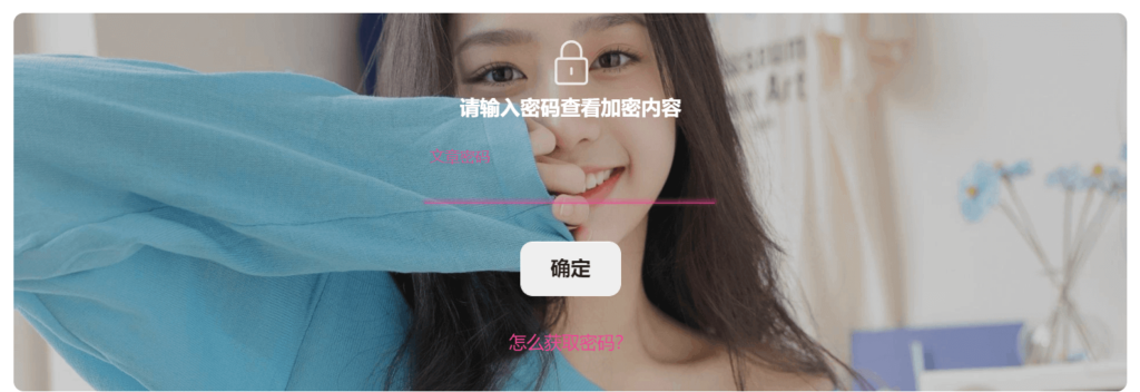 wordpress子比主题给文章内容加上密码查看-吾爱源码站
